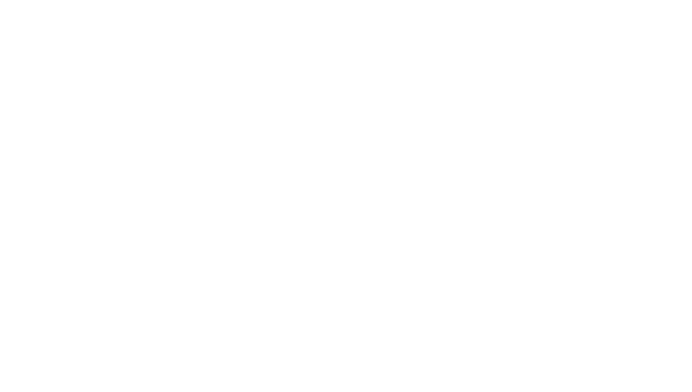 Logo Bitcoris